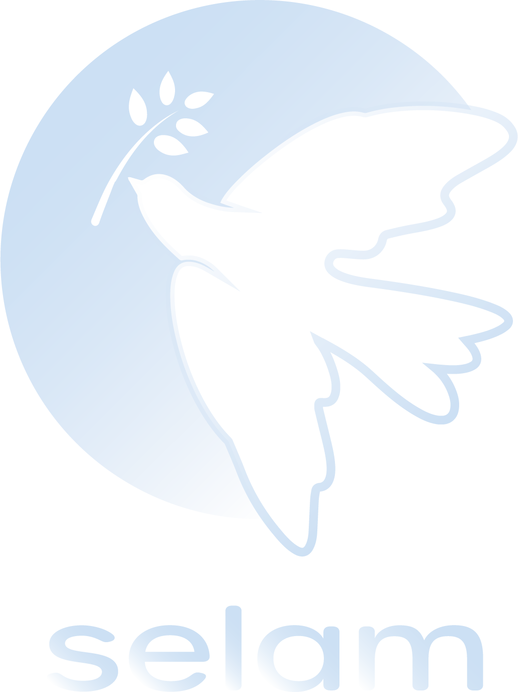 Selam organization logo